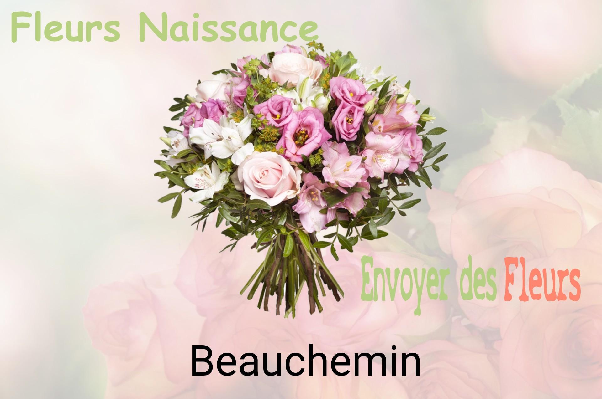 Bouquet de fleurs de naissance livré à Beauchemin